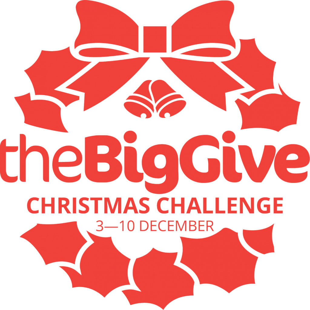 The Big Give Christmas Challenge Logo